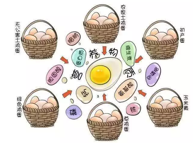 遍尋菜譜收集的雞蛋7中新吃法，第2中最好，第7中最營(yíng)養(yǎng)